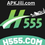 H555 Game